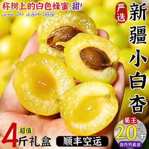 新疆小白杏新鲜来袭！