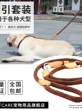petcare柔软尼龙宠物项圈牵引绳套装狗链狗项圈狗绳金毛德牧