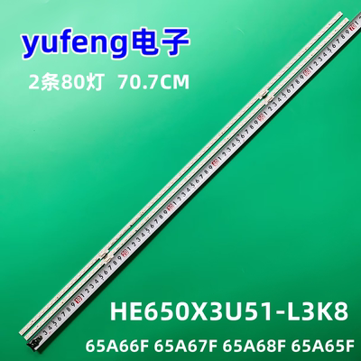 HE650X3U51-L3K8灯条