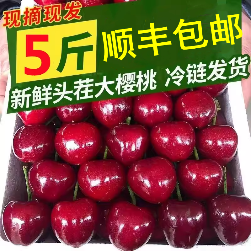 现货大樱桃新鲜现摘车厘子河南美早当季孕妇水果5斤国产顺丰包邮