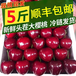 现货大樱桃新鲜现摘车厘子河南红灯当季孕妇水果5斤国产顺丰包邮