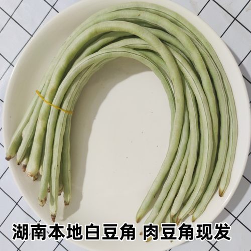 湖南新鲜蔬菜白色豆角肉豆角粉粉糯糯白缸豆现摘白豆角保鲜发货