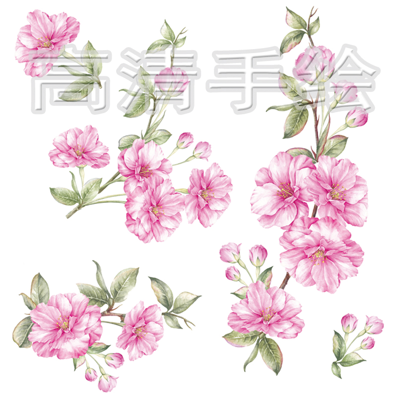 p205高清水彩手绘粉色桃花边框花朵浪漫花卉背景绘画
