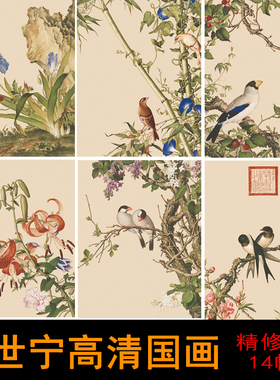 P176清郎世宁高清国画精修版花鸟图集工笔装饰画画芯图片素材14张