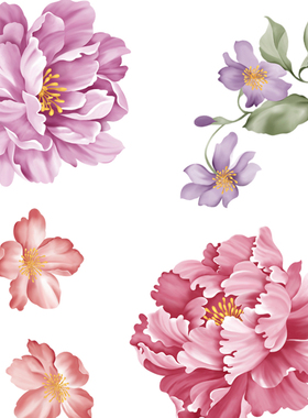 P302高清唯美电脑手绘牡丹花朵植物花卉图案PSD平面设计分层素材