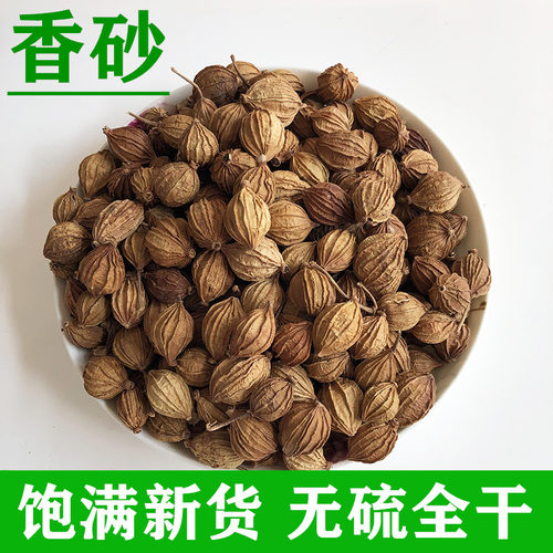 香砂川砂仁250g金砂仁香料炖肉