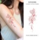 高级感防水彩绘男女ins花臂遮疤贴纸 彩色纹身贴新款 中式 粉黛莲花