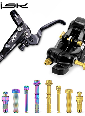 RISK钛合金螺丝自行车油碟油管五线体螺丝来令片插销XT碟刹M8000