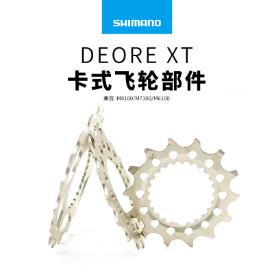 SHIMANO禧玛诺XTR M8100 XT M7100 M6100 12速山地车飞轮片修补件