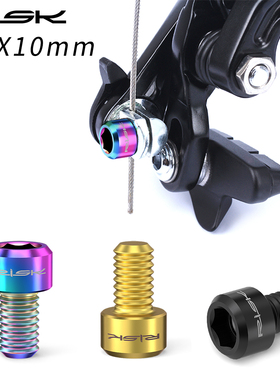 Risk M6x10mm前叉V刹车压线螺丝山地公路自行车C刹TC4钛合金螺丝