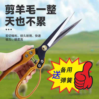 羊毛剪子川马锋利耐用