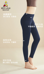 保暖裤 内穿棉裤 女士厚款 打底裤 冬季 稻草人100%羊毛裤