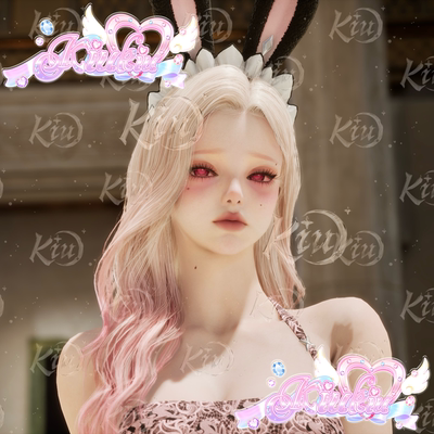 塔2Aion2魅魔兔御姐女角色