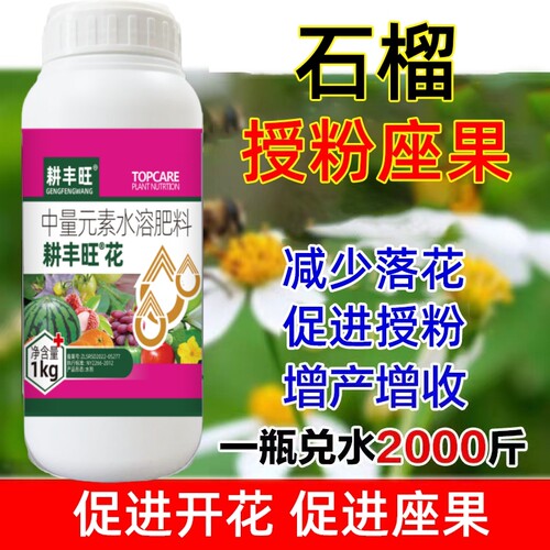 耕丰旺石榴座果灵石榴强力授粉
