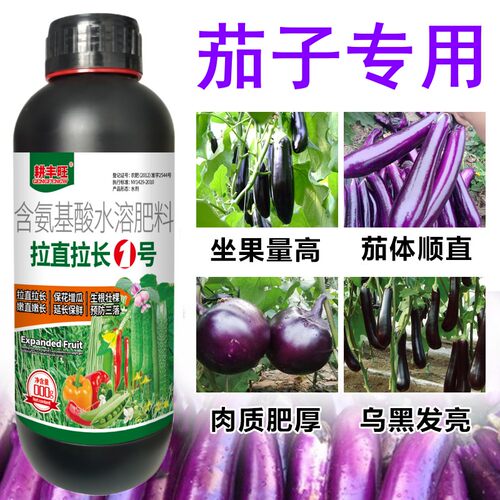 耕丰旺茄子拉长拉直膨大