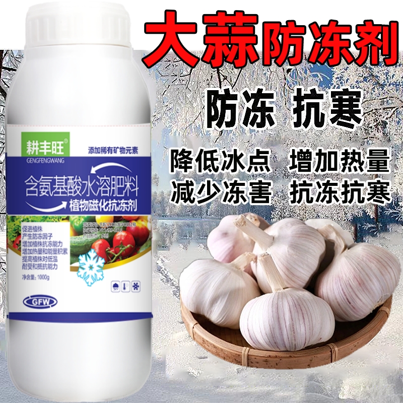 耕丰旺大蒜防冻剂大蒜防寒