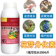 花芽分化素果树叶面肥爆芽素促花芽分化增产增收催芽剂细胞分裂素