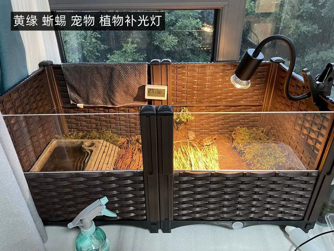 黄缘龟晒背灯 乌龟安缘补钙保温取暖灯 爬宠蜥蜴加温照明灯