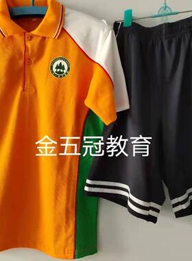 271教育小学校服T恤昌乐二中峡山实验南湖美加海达行知宇通美加