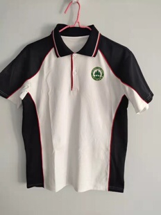 271教育校高中T恤潍坊实验中学昆明行知南京宇通昌乐二中美加学校