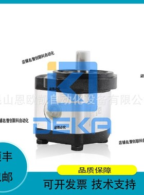 议价.DEKA油泵2GG1P11R