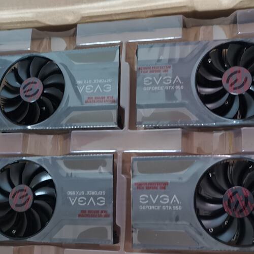 evga gtx950现货议价