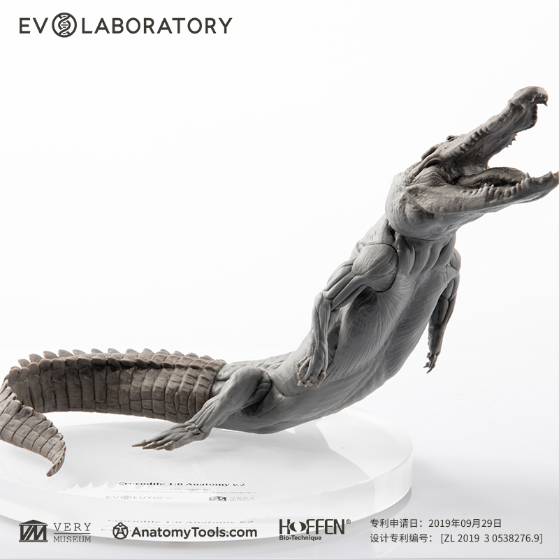 EVOLABORATORY雕像模型艺术摆件