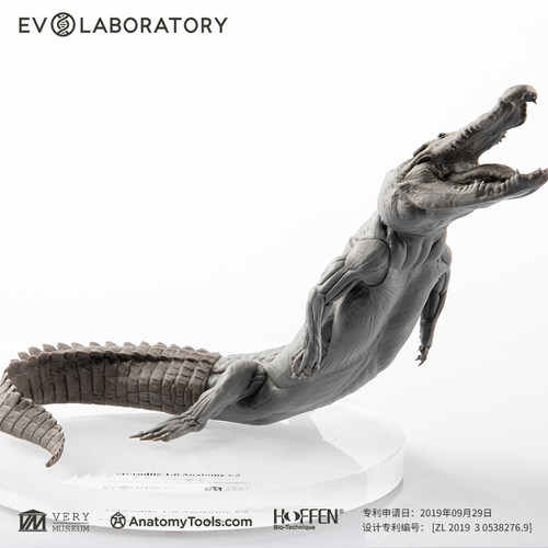 EVOLABORATORY雕像模型艺术摆件