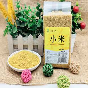 宁县特产义渠王小米真空包装500g