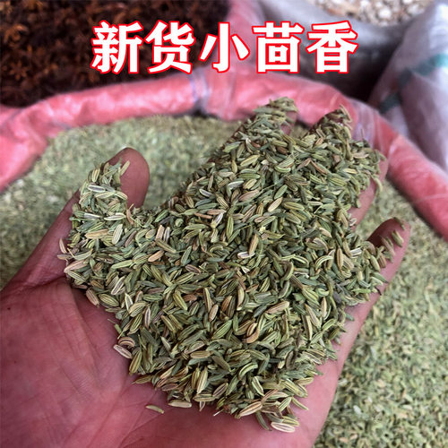 甘肃特产正宗小茴香干调味料250g