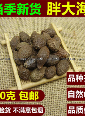 手选胖大海中药材散装非特级可搭金银花菊花茶罗汉果甘草麦冬泡水
