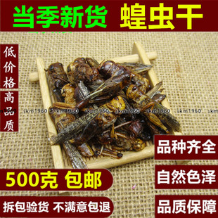 中药材蝗虫干 五谷虫干 蛐蛐干蝼蛄干鸟食蚂蚱干鸟饲料500g克包邮