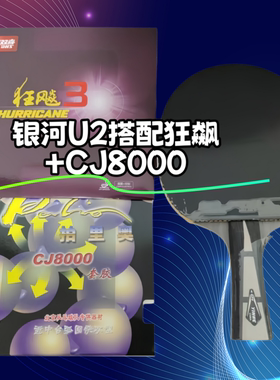 银河乒乓球拍u2纯木diy狂飙CJ8千