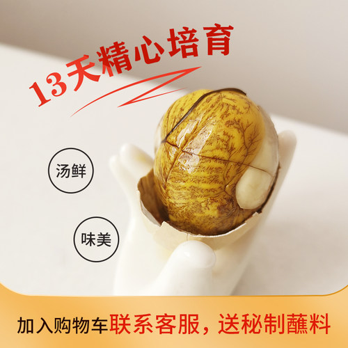 活珠子五香13天40枚新鲜鸡胚蛋即食毛蛋钢化蛋凤凰蛋喜蛋非毛鸡蛋