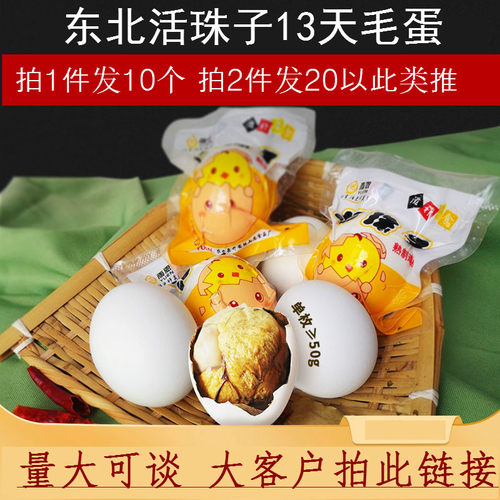 新鲜13天五香活珠子熟10枚钢化蛋鸡胚蛋喜蛋凤凰蛋非毛蛋旺蛋实蛋 - 封面