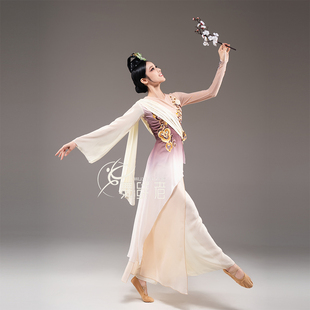 桃李杯古典舞蹈寒依疏影女款服装艺考剧目舞服演出服表演服定制