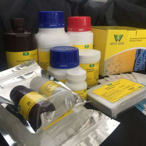 植物样本直接PCR检测试剂盒