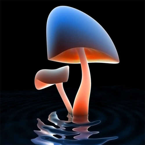 8038 ASK 31.4 Prim./Sek.: 50/5 A欧洲品牌，原厂直采，价格低廉