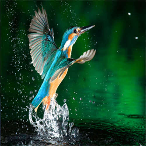 8046 ASK 31.4 Prim./Sek.: 100/5 A欧洲品牌，原厂直采，价格低