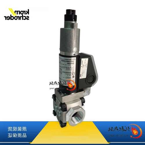 供应燃气电磁阀VAS125R/LWGR德国KromSchroder霍科德组合电磁阀