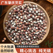正宗肇庆芡实干货500g广东新鲜干货正品 特级中药材鸡头米无硫熏