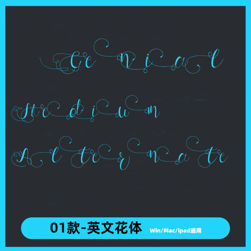 花体风英文字体设计海报ttf 格式Win/Mac/Procreate字体字库AI/PS