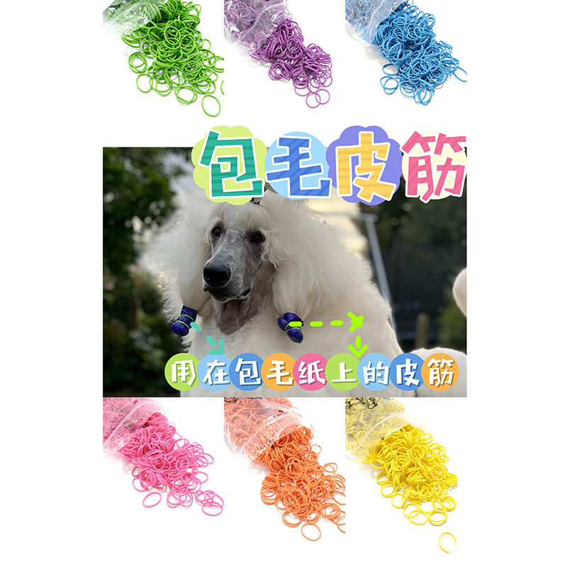 美国color coordinated专业赛级犬西施马尔济斯贵宾美容包毛皮筋