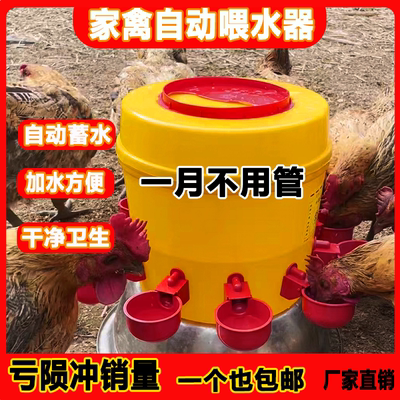 家禽饮水器鸡鸭链牧实惠鸡鸭鹅