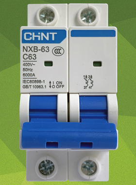 正泰小型断路器NXB-63 2P 63A 正泰空气开关二极 C型 C63正泰空开