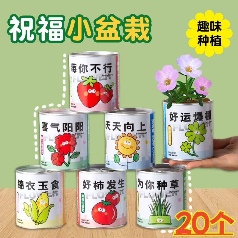 地推活动小礼品创意网红祝福盆栽生日伴手礼幼儿园学生奖励小礼物