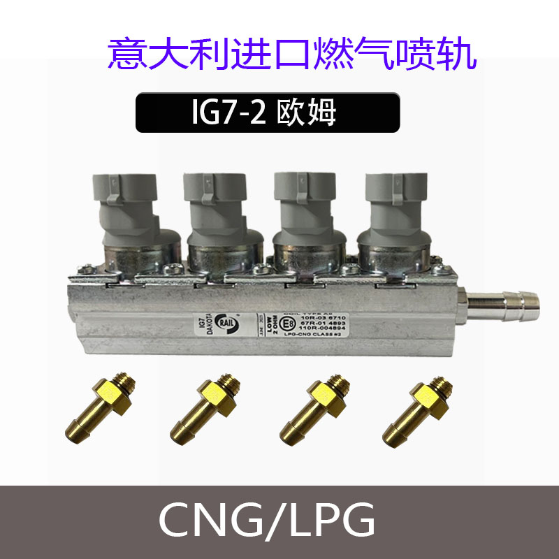 配件喷轨进口cng意大利油改气
