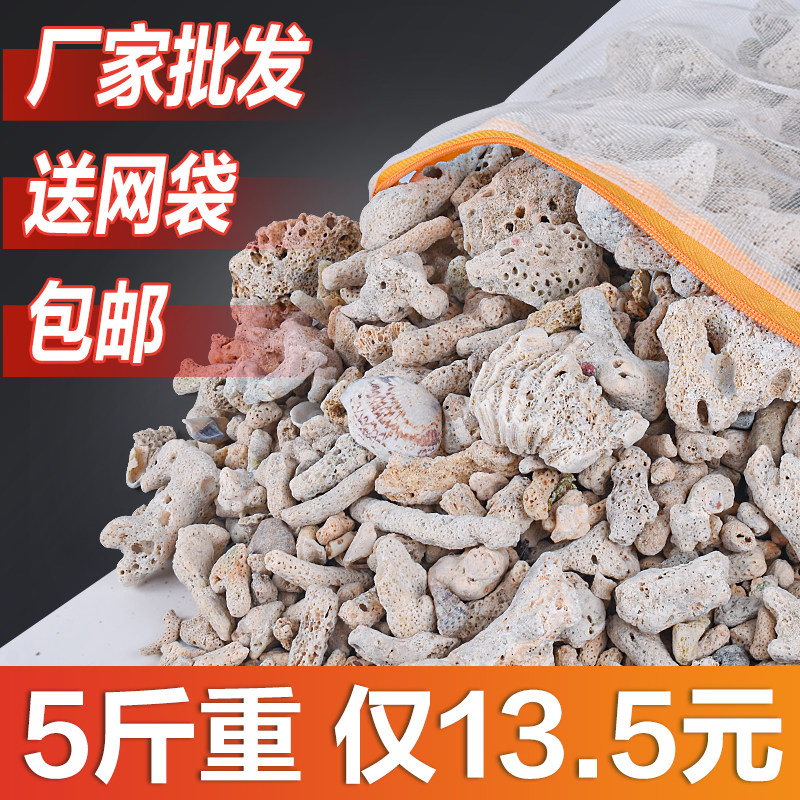 天然珊瑚骨滤材鱼缸过滤材料净水珊瑚石净化珊瑚砂鱼缸滤材