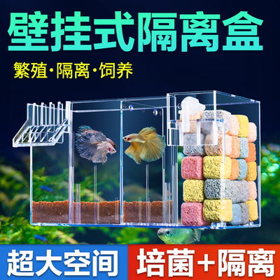 亚克力隔离盒孵化盒孔雀鱼繁殖盒