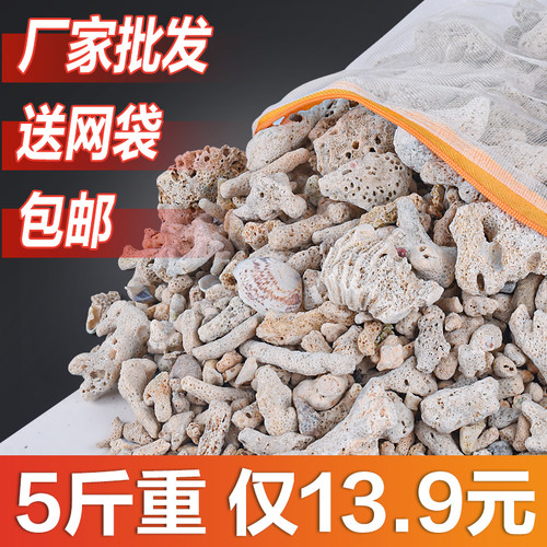 【5斤仅13元】天然珊瑚骨珊瑚砂